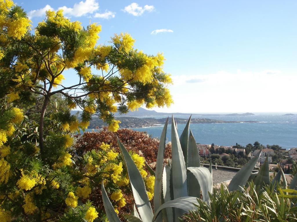 T2 Bandol Ideal Vacances 2 Etoiles Exterior photo