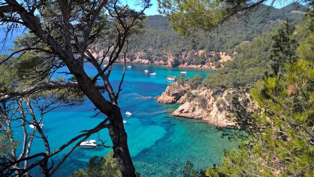 T2 Bandol Ideal Vacances 2 Etoiles Exterior photo
